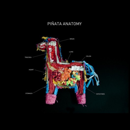 pinata-anatomy-640x640